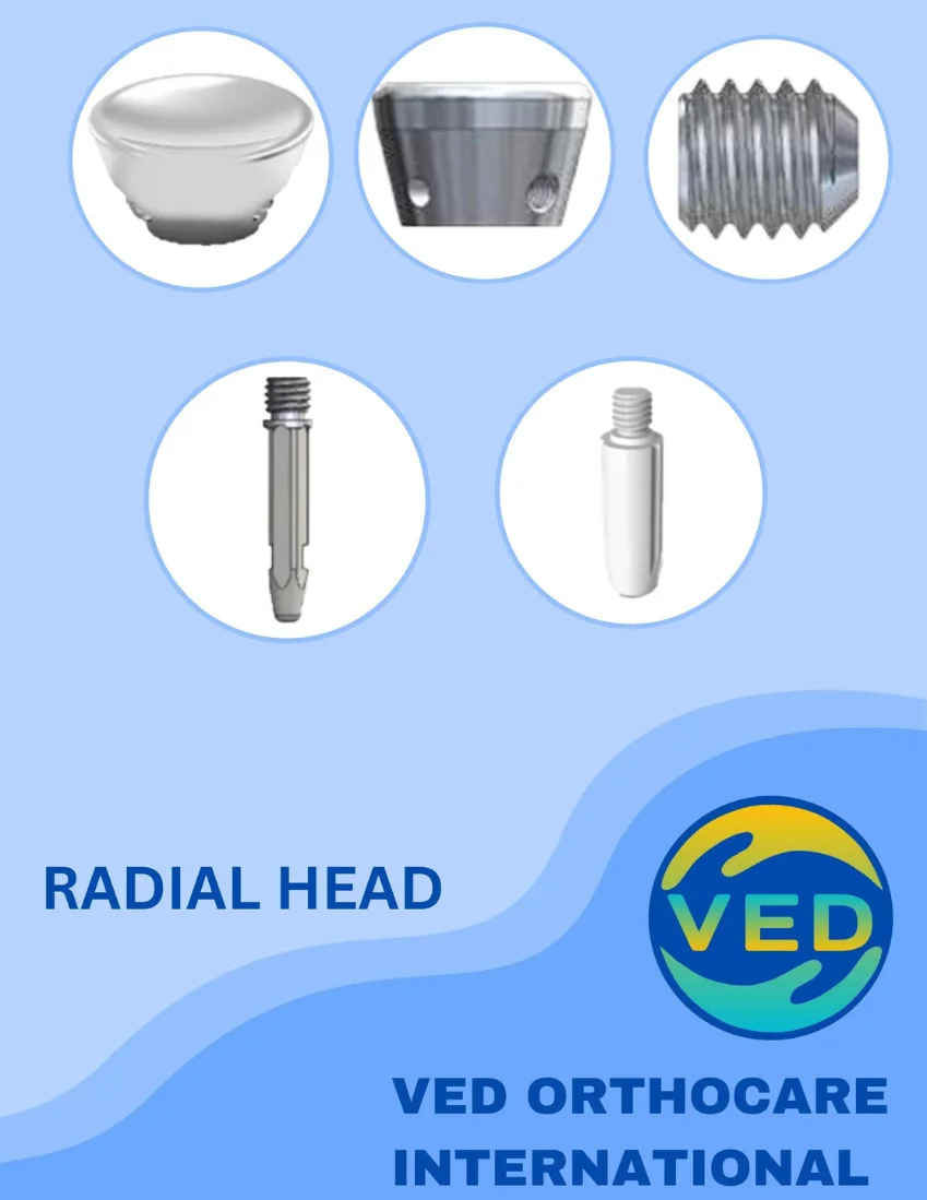 radial head downloads